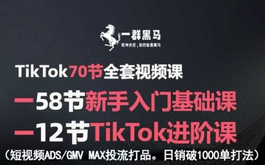 TikTok全套视频课，新手入门+进阶课，短视频ADS-GMV MAX投流打品，日销破1000单打法-润格副业网-每天分享热门副业赚钱项目
