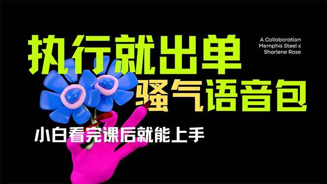 (14170期)爆火全网的开车导航骚气语音包,只要执行就出单,小白看完课程就能实操…-润格副业网-每天分享热门副业赚钱项目