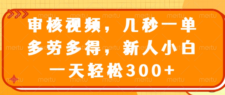 (14294期)审核视频,几秒一单,多劳多得,新人小白一天轻松300+-润格副业网-每天分享热门副业赚钱项目