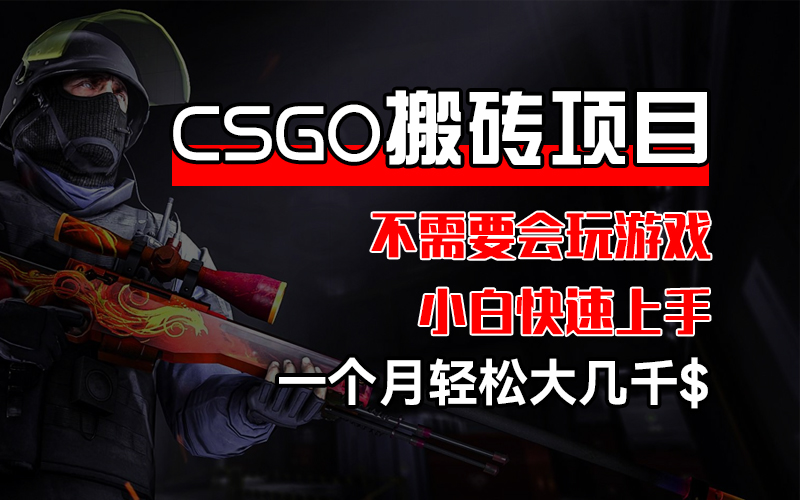 （12332期）CSGO 装备搬砖项目，操作简单，不需要会玩游戏，小白也能快速上手，一…-润格副业网-每天分享热门副业赚钱项目