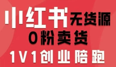 小红书无货源0粉电商课,开店准备、选品策略、笔记撰写、视频剪辑、数据分析、账号打造、资料文档(更新)-润格副业网-每天分享热门副业赚钱项目