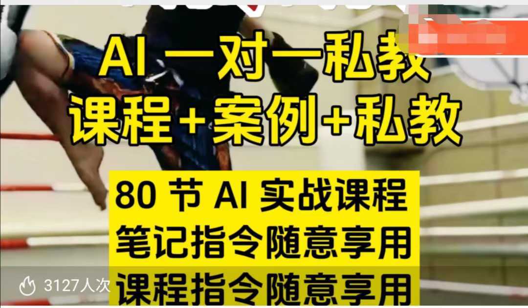 AI指令实战课，课程+案例，80节AI实战课程，笔记指令随意享用，课程指令随意享用-润格副业网-每天分享热门副业赚钱项目