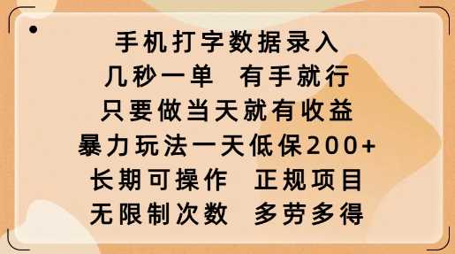 手机打字数据录入,几秒一单,有手就行,只要做当天就有收益,暴力玩法一天低保2张-润格副业网-每天分享热门副业赚钱项目