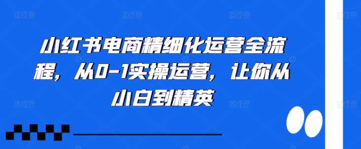 小红书电商精细化运营全流程,从0-1实操运营,让你从小白到精英-润格副业网-每天分享热门副业赚钱项目