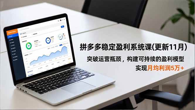 （16641期）拼多多稳定盈利系统课(更新11月)，突破运营瓶颈，构建可持续的盈利模型，实现月均利润5万+-润格副业网-每天分享热门副业赚钱项目