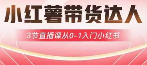小红薯达人带货启航计划，3节直播课从0-1入门小红书-润格副业网-每天分享热门副业赚钱项目