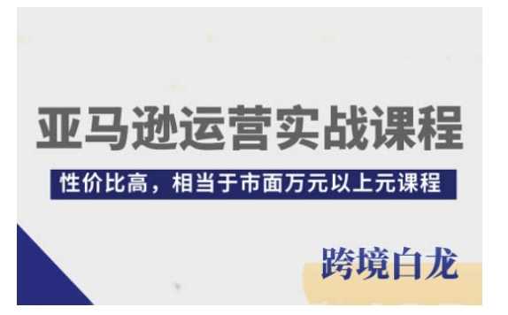 亚马逊运营实战课程,亚马逊从入门到精通,性价比高,相当于市面万元以上元课程-润格副业网-每天分享热门副业赚钱项目