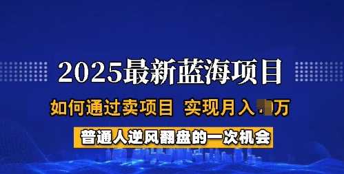 2025蓝海项目,普通人如何通过卖项目,实现月入过W,全过程【揭秘】-润格副业网-每天分享热门副业赚钱项目