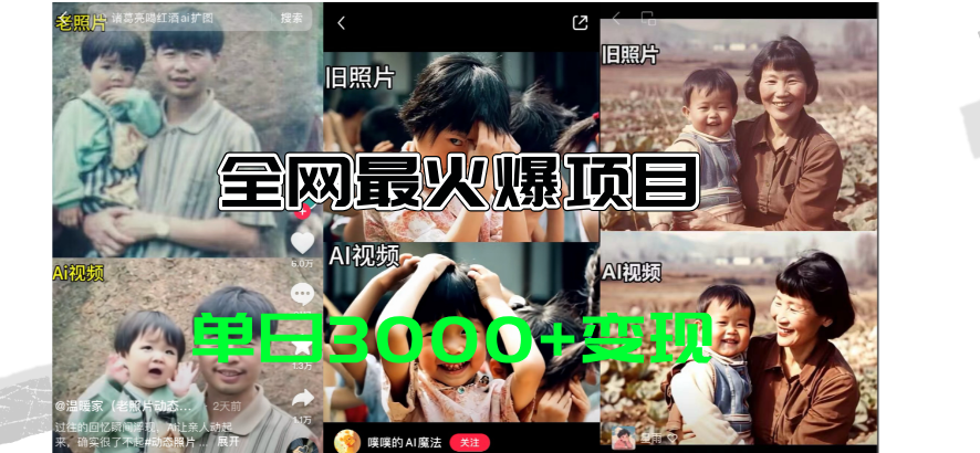 （11546期）全网爆火的AI让老照片动起来教程，蹭热点日赚3000+，内含免费工具一键…-润格副业网-每天分享热门副业赚钱项目