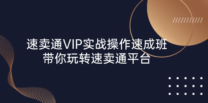 （10935期）速卖通 VIP实战操作-速成班，带你玩转速卖通平台（23节）-润格副业网-每天分享热门副业赚钱项目