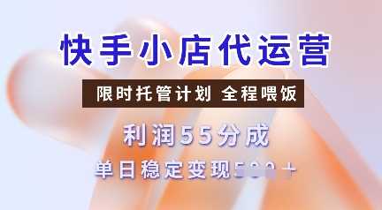 快手小店代运营,限时托管计划,收益55分,单日稳定变现多张【揭秘】-润格副业网-每天分享热门副业赚钱项目
