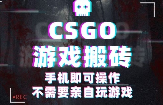 CSGO游戏挂G捡漏,单日扫货5张+,年底小高峰上车可吃肉,手机即可操作,兼职副业创业网创【揭秘】-润格副业网-每天分享热门副业赚钱项目