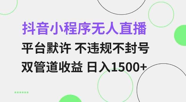 抖音小程序无人直播 平台默许 不违规不封号 双管道收益 日入多张 小白也能轻松操作【仅揭秘】-润格副业网-每天分享热门副业赚钱项目