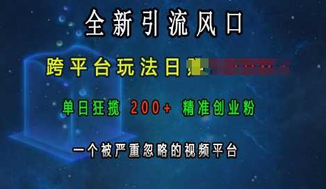 全新引流风口，跨平台玩法日入上k，单日狂揽200+精准创业粉，一个被严重忽略的视频平台-润格副业网-每天分享热门副业赚钱项目