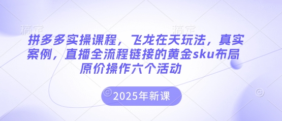 拼多多实操课程,飞龙在天玩法,真实案例,直播全流程链接的黄金sku布局原价操作六个活动-润格副业网-每天分享热门副业赚钱项目