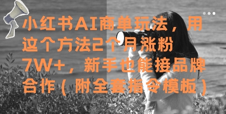 小红书AI商单玩法,用这个方法2个月涨粉7W+,新手也能接品牌合作(附全套指令模板)-润格副业网-每天分享热门副业赚钱项目