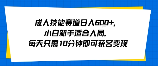成人技能赛道日入多张,小白新手适合入局,每天只需10分钟即可获客变现-润格副业网-每天分享热门副业赚钱项目