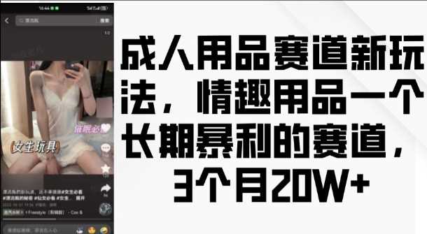 成人用品赛道新玩法,情趣用品一个长期暴利的赛道,3个月收益20个【揭秘】-润格副业网-每天分享热门副业赚钱项目