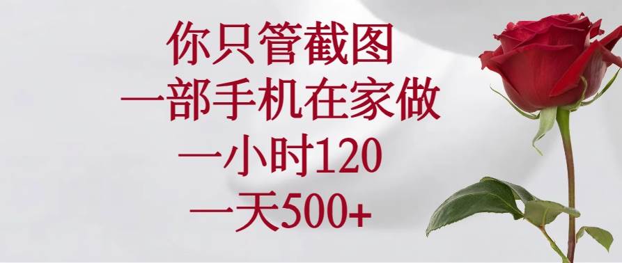 （14248期）你只管截图，一部手机在家做，一小时120，一天500+-润格副业网-每天分享热门副业赚钱项目