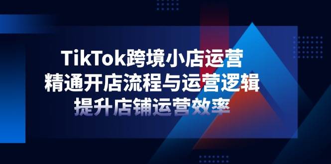 (14369期)TikTok跨境小店运营,精通开店流程与运营逻辑,提升店铺运营效率-润格副业网-每天分享热门副业赚钱项目