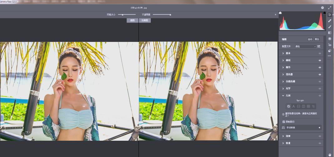 Adobe Camera Raw(RAW处理工具)v18.0.0中文版-润格副业网-每天分享热门副业赚钱项目