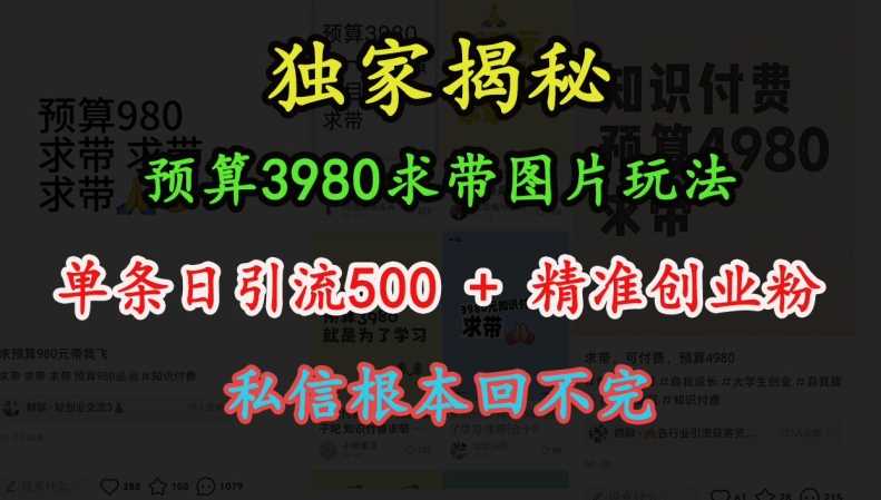 预算3980求带 图片玩法,单条日引流500+精准创业粉,私信根本回不完-润格副业网-每天分享热门副业赚钱项目