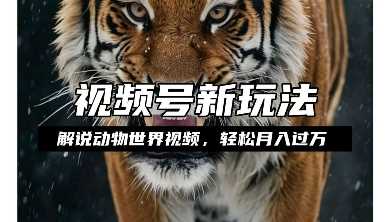 利用动物世界解说视频,赚分成计划收益,轻松月入过W,操作简单【揭秘】-润格副业网-每天分享热门副业赚钱项目