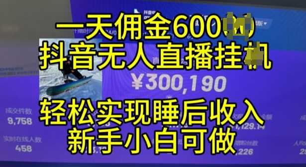 2024年11月抖音无人直播带货挂JI,小白的梦想之路,全天24小时收益不间断实现真正管道收益【揭秘】-润格副业网-每天分享热门副业赚钱项目