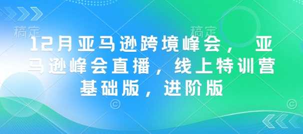 12月亚马逊跨境峰会， 亚马逊峰会直播，线上特训营基础版，进阶版-润格副业网-每天分享热门副业赚钱项目