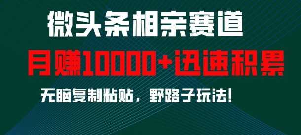 微头条相亲赛道，迅速积累，无脑复制粘贴，野路子玩法，月入1w-润格副业网-每天分享热门副业赚钱项目