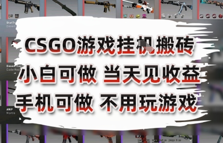CSGO游戏挂G搬砖，小白纯手机即可操作，不用电脑打游戏，日入3张+，副业网创项目【揭秘】-润格副业网-每天分享热门副业赚钱项目