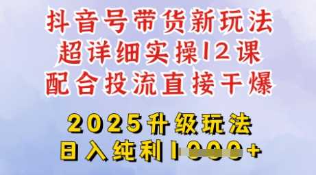 2025全新升级抖音带货玩法,一天纯利四位数,从剪辑到选品再到发布投流,超详细玩法揭秘-润格副业网-每天分享热门副业赚钱项目