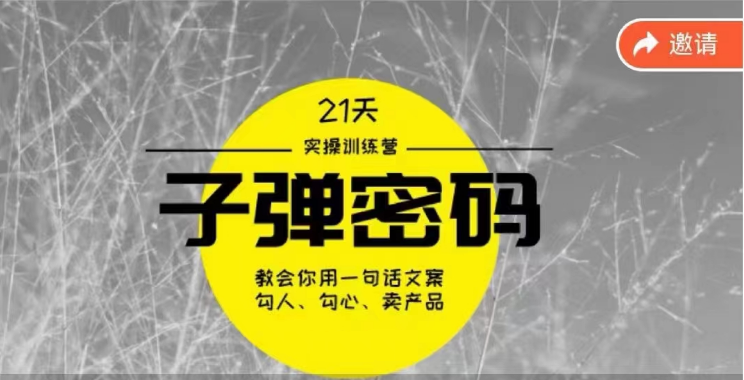 《子弹密码训练营》-用一句话文案勾人勾心卖产品，21天学到顶尖文案大师策略和技巧-润格副业网-每天分享热门副业赚钱项目