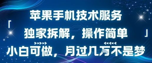 苹果手机技术服务，独家拆解，操作简单，小白可做，月过1W不是梦-润格副业网-每天分享热门副业赚钱项目