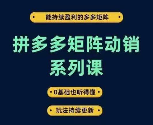 拼多多矩阵动销系列课,能持续盈利的多多矩阵,0基础也听得懂,玩法持续更新-润格副业网-每天分享热门副业赚钱项目