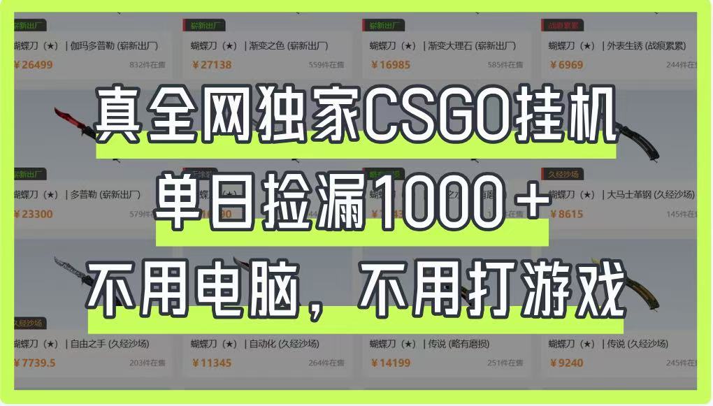 真全网独家CSGO挂机,单日捡漏1000+,不用电脑,不用养号-润格副业网-每天分享热门副业赚钱项目