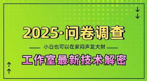 2025问卷调查最新工作室技术解密：一个人在家也可以闷声发大财，小白一天2张，可矩阵放大【揭秘】-润格副业网-每天分享热门副业赚钱项目