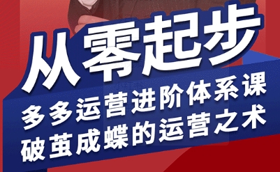 拼多多运营进阶系统课,从零起步,多多运营进阶体系课,破茧成蝶的运营之术-润格副业网-每天分享热门副业赚钱项目
