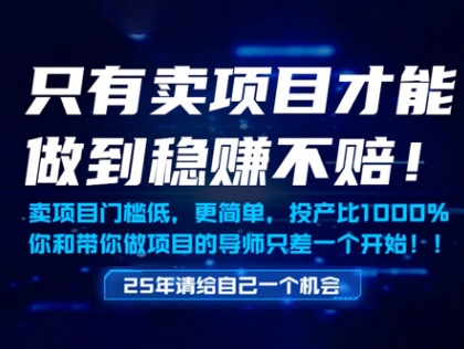 只有卖项目才能做到稳挣不赔，门槛低，更简单，你也可以年入百个W【揭秘】-润格副业网-每天分享热门副业赚钱项目