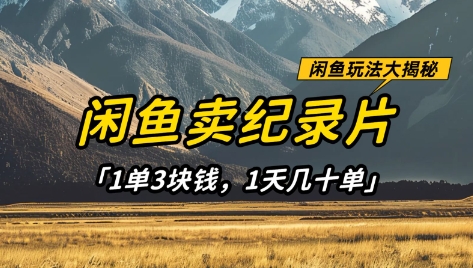 闲鱼卖纪录片1单3块钱，1天几十单，项目稳定有潜力-润格副业网-每天分享热门副业赚钱项目