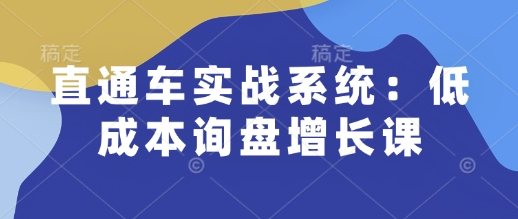 直通车实战系统:低成本询盘增长课,让个人通过技能实现升职加薪,让企业低成本获客,订单源源不断-润格副业网-每天分享热门副业赚钱项目