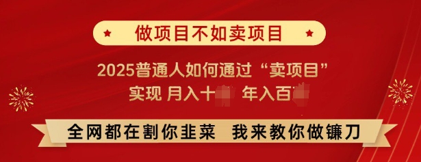 必看,做项目不如卖项目,2025普通人如何通过“卖项目”实现月入十个,年入百个-润格副业网-每天分享热门副业赚钱项目
