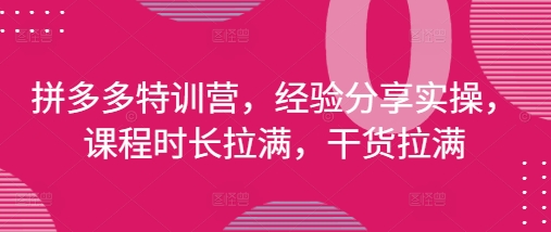 拼多多特训营,经验分享实操,课程时长拉满,干货拉满(更新25年4月)-润格副业网-每天分享热门副业赚钱项目