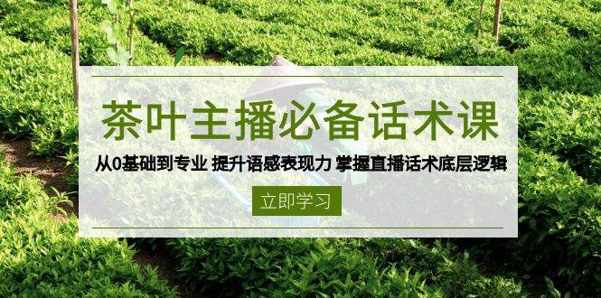 茶叶主播必备话术课 从0基础到专业 提升语感表现力 掌握直播话术底层逻辑-润格副业网-每天分享热门副业赚钱项目