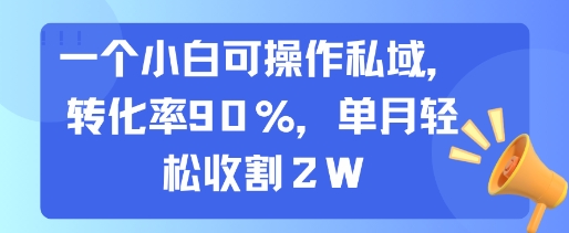 一个小白可操作私域,转化率90%,单月轻松收割2W-润格副业网-每天分享热门副业赚钱项目