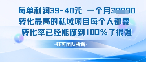 每单利润40一个月7k+转化最高的私域项目,每个人都要的产品转化率已经能做到100%-润格副业网-每天分享热门副业赚钱项目