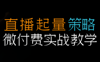 半野老师·直播带货起量与微付费必学课视频号(更新2026)-润格副业网-每天分享热门副业赚钱项目