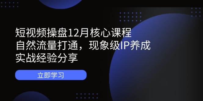 （14447期）短视频操盘12月核心课程：自然流量打通，现象级IP养成，实战经验分享-润格副业网-每天分享热门副业赚钱项目