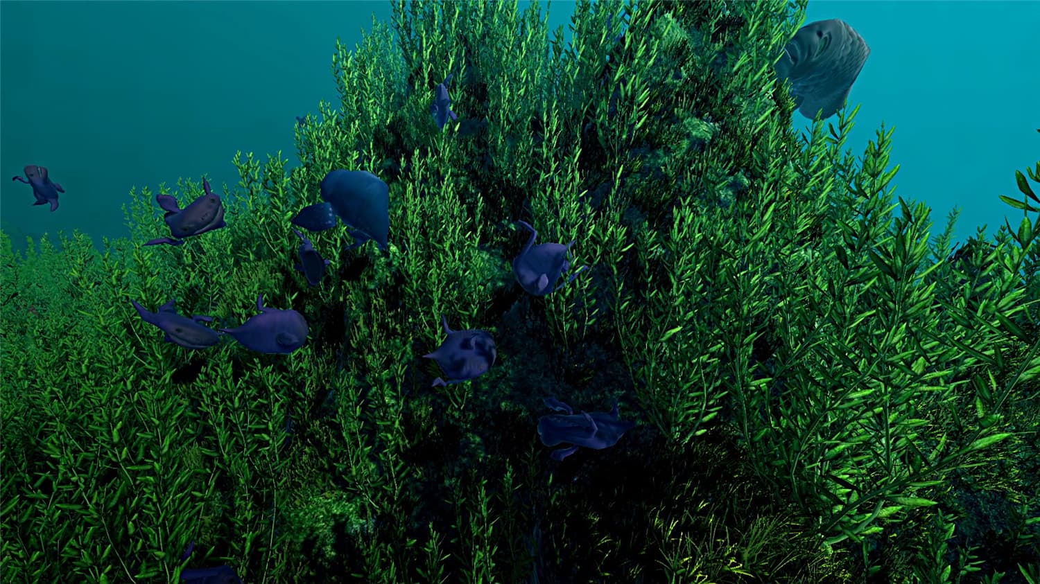 《生态系统》v1.0.0中文版-趣奇资源网-第10张图片 《生态系统》v1.0.0中文版-趣奇资源网-第10张图片