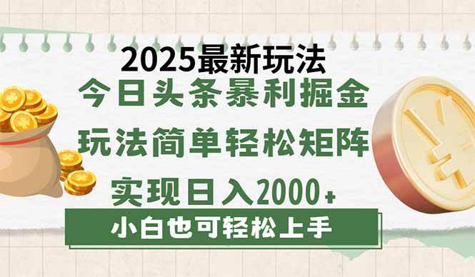 (14120期)今日头条2025最新玩法,思路简单,复制粘贴,轻松实现矩阵日入2000+-润格副业网-每天分享热门副业赚钱项目